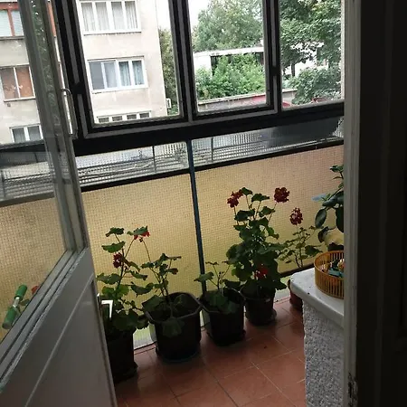 Apartamento Grbavicka *