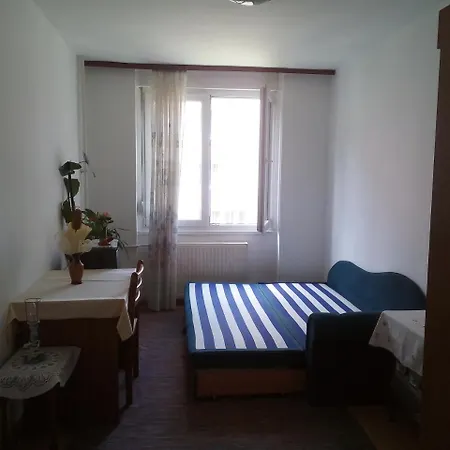 Apartamento Grbavicka *